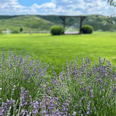 Colina Verde Resort Chişinău Eksteriør billede