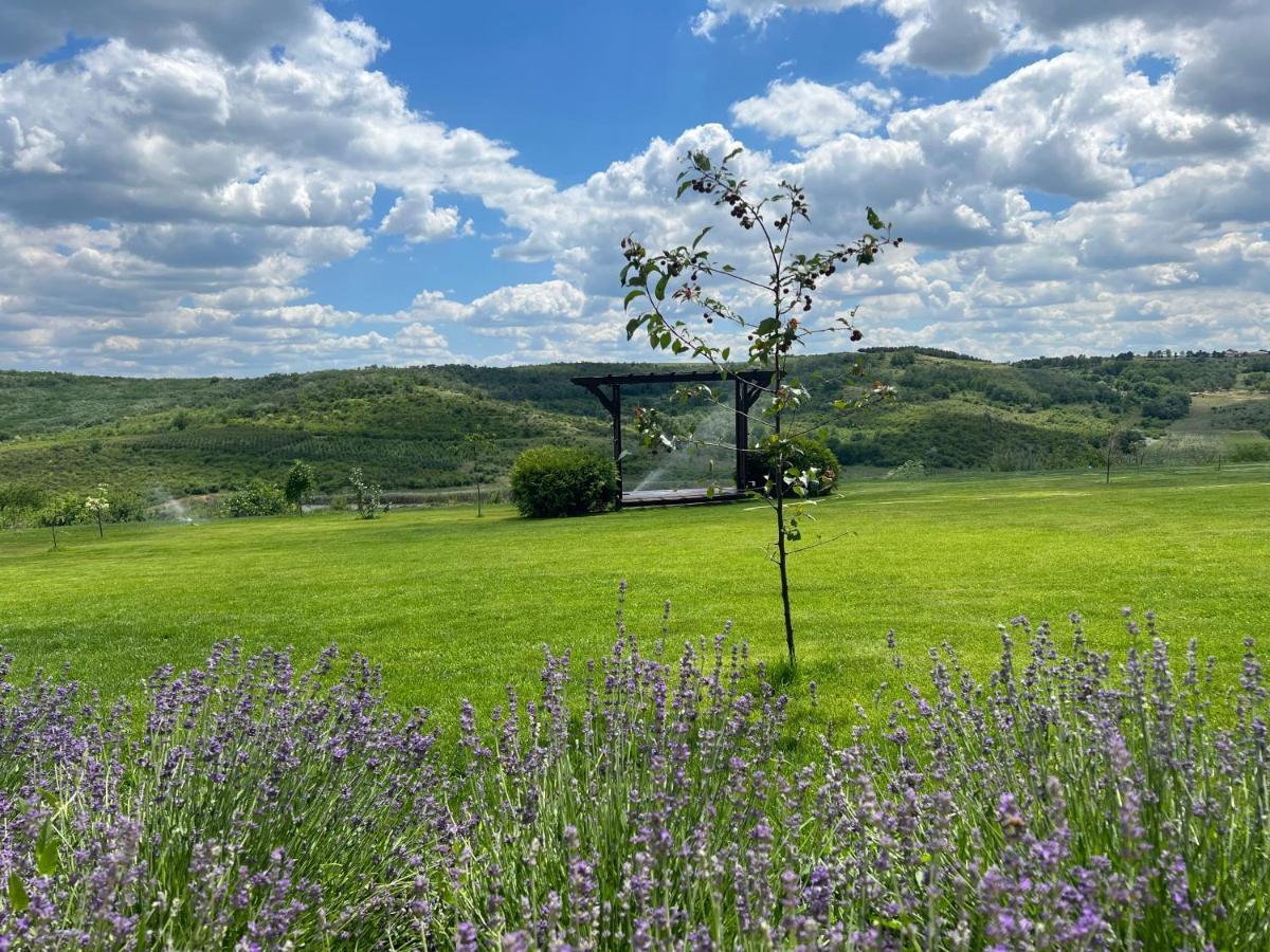Colina Verde Resort Chişinău Eksteriør billede