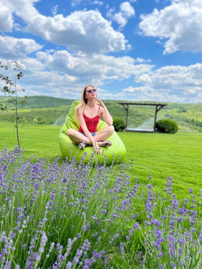 Colina Verde Resort Chişinău Eksteriør billede