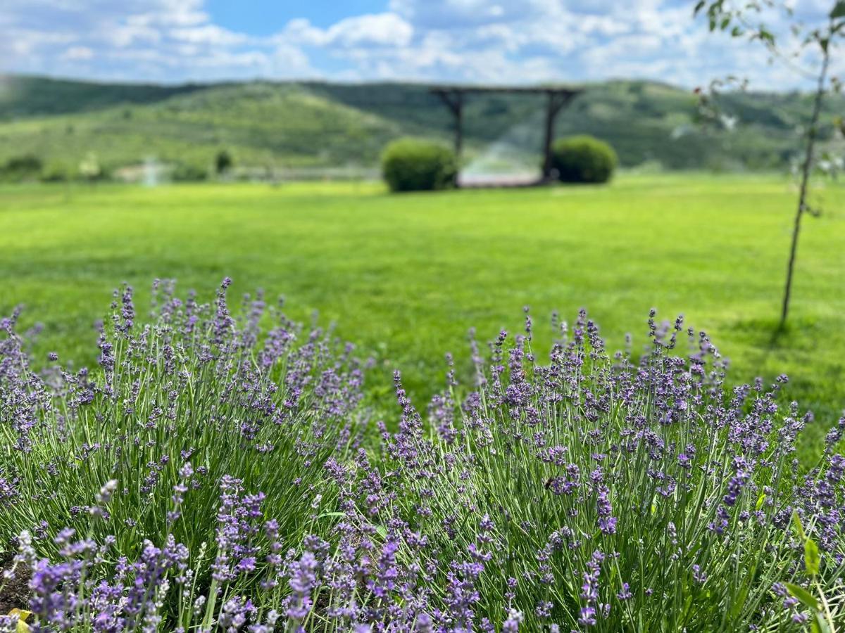Colina Verde Resort Chişinău Eksteriør billede