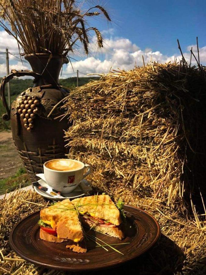 Colina Verde Resort Chişinău Eksteriør billede
